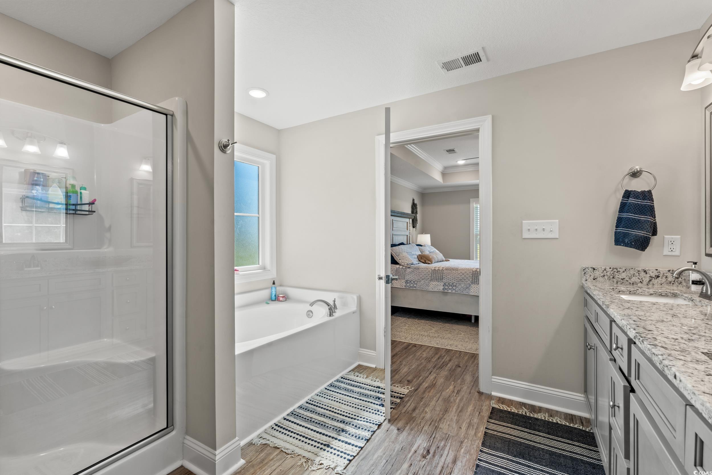 1333 Zion Road Aynor, SC 29544 - Photo 15 of 34 Bathroom with vanity, hardwood / wood-style floori