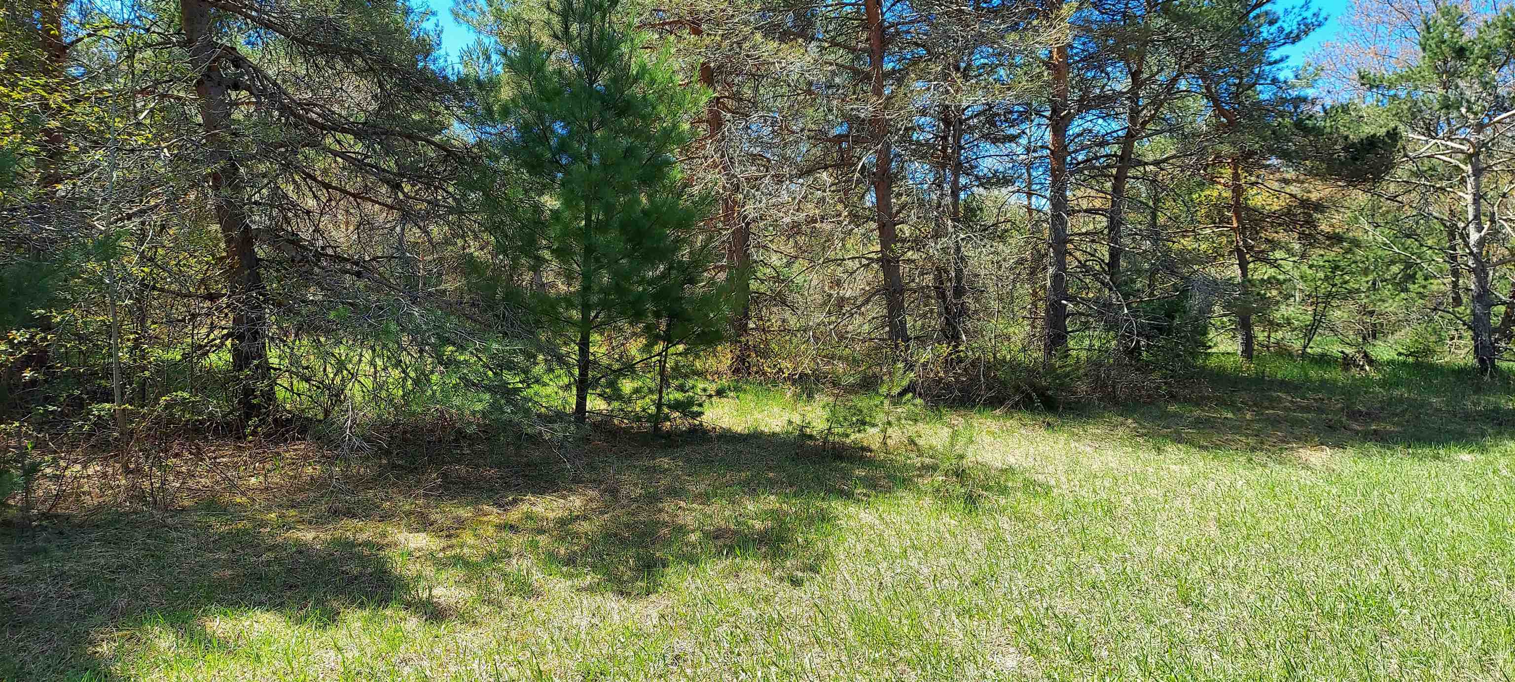 Tbd Johnson Road Mancelona, MI 49659 - Photo 5 of 5