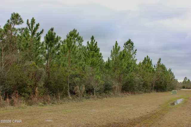 $38,500 | 114 Widewater Circle, Wewahitchka, FL 32465