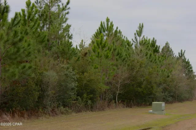 $38,500 | 114 Widewater Circle, Wewahitchka, FL 32465