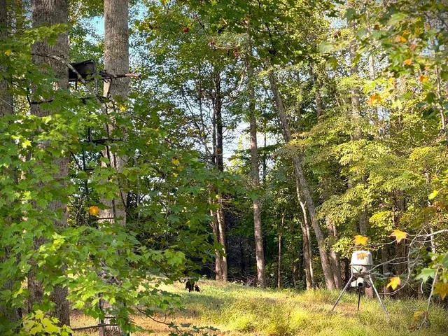 $499,900 | 3524 Griffintown Road, Sparta, TN 38583