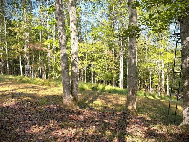 $499,900 | 3524 Griffintown Road, Sparta, TN 38583