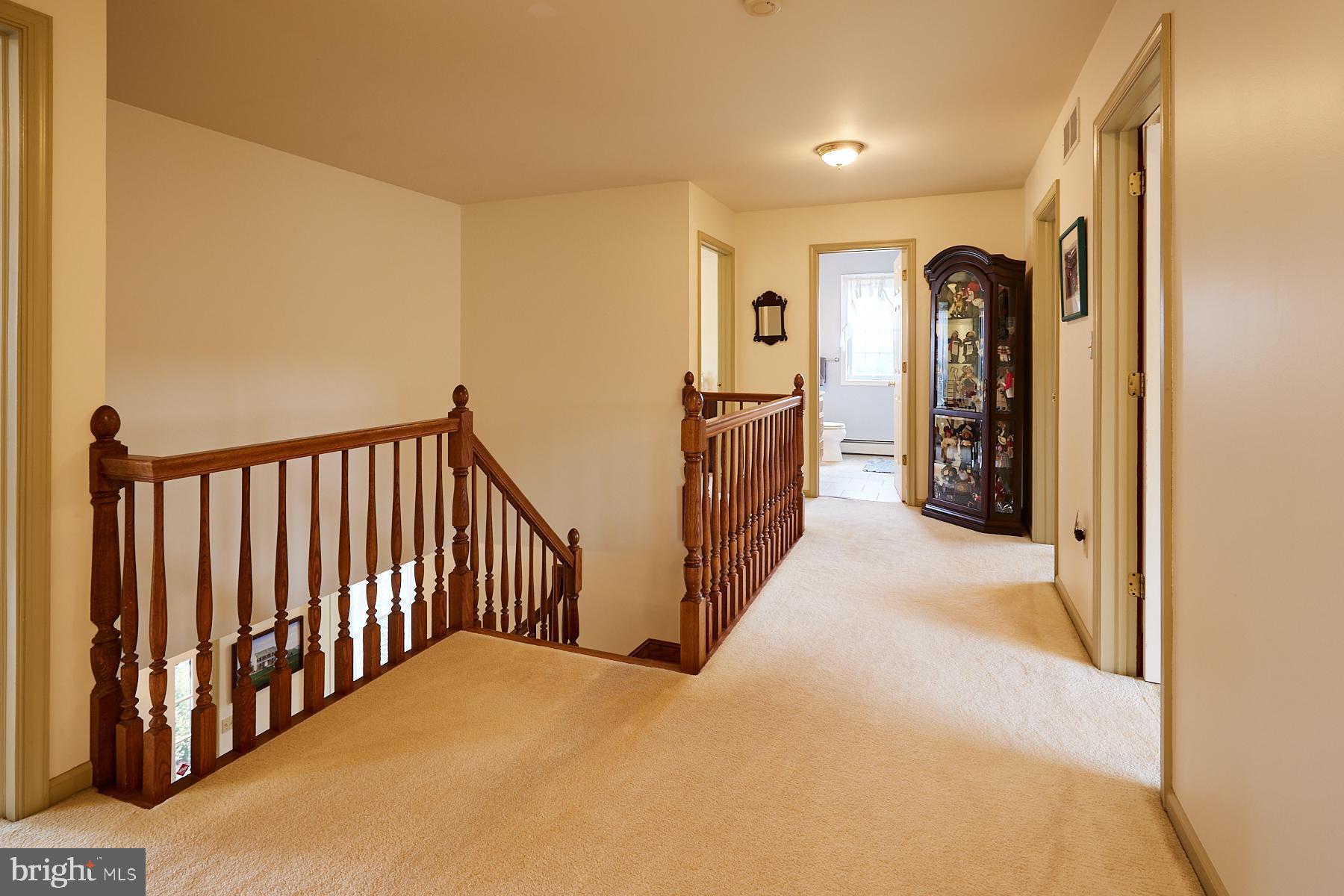 1134 Elephant Road Perkasie, PA 18944 - Photo 33 of 56