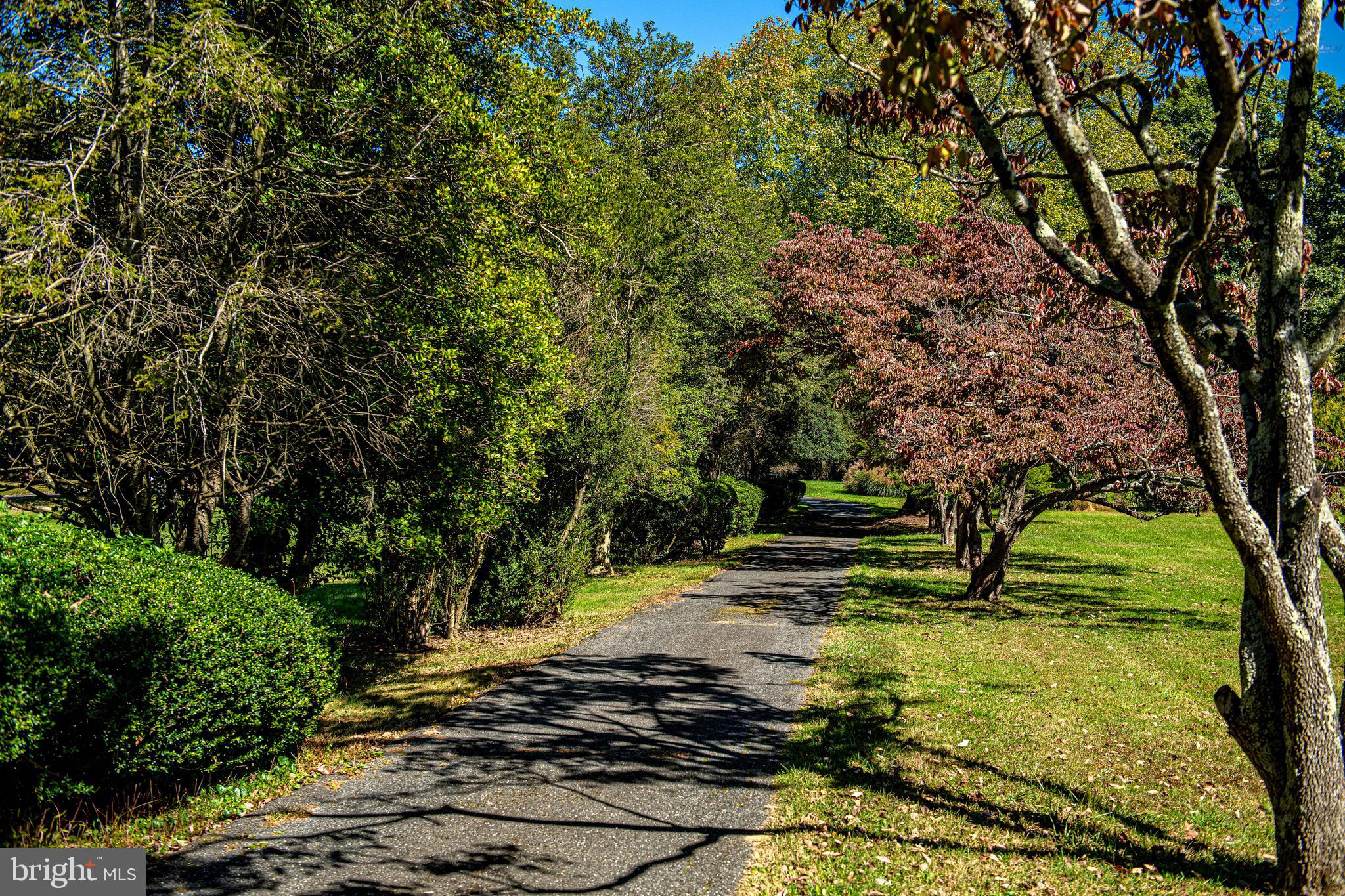 2319 Laurel Bush Road Abingdon, MD 21009 - Photo 31 of 36 Tree lined driveway