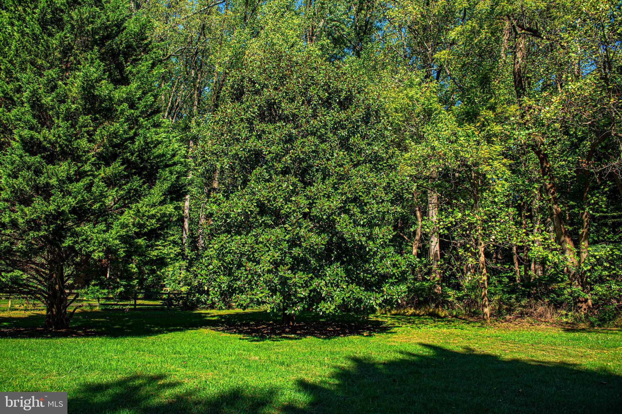 2319 Laurel Bush Road Abingdon, MD 21009 - Photo 35 of 36 Backyard