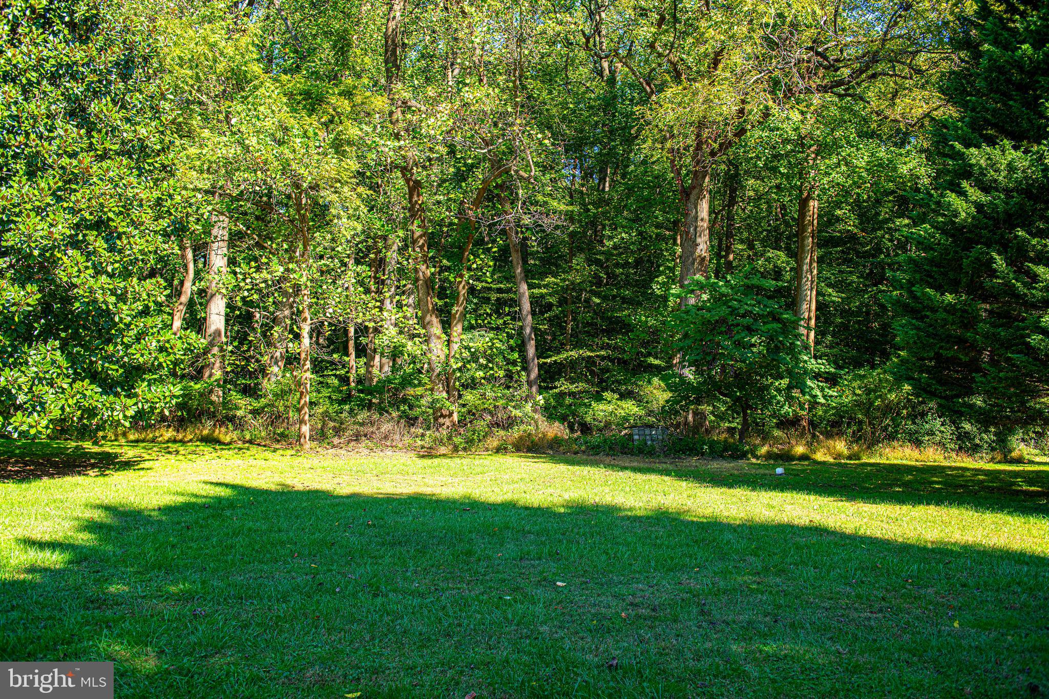 2319 Laurel Bush Road Abingdon, MD 21009 - Photo 36 of 36 Backyard seller thinks 5-10 in woods