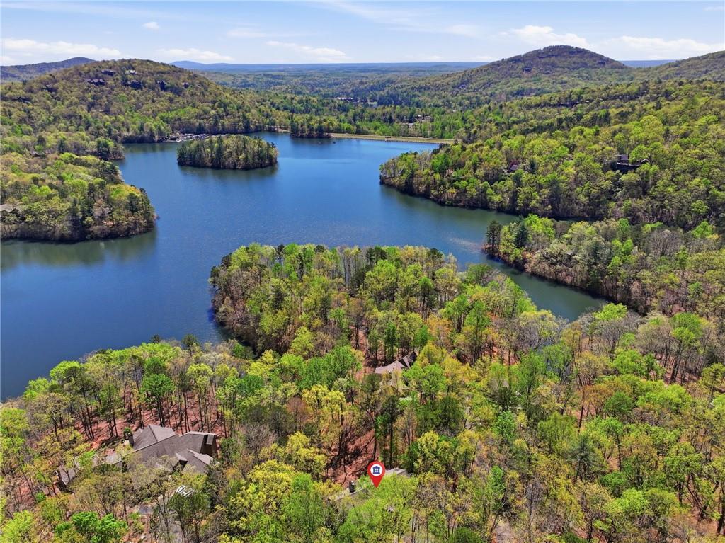 33 Kingfisher Point Big Canoe, GA 30143 - Photo 42 of 79