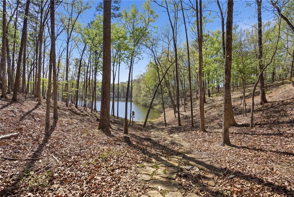 33 Kingfisher Point Big Canoe, GA 30143 - Photo 43 of 79