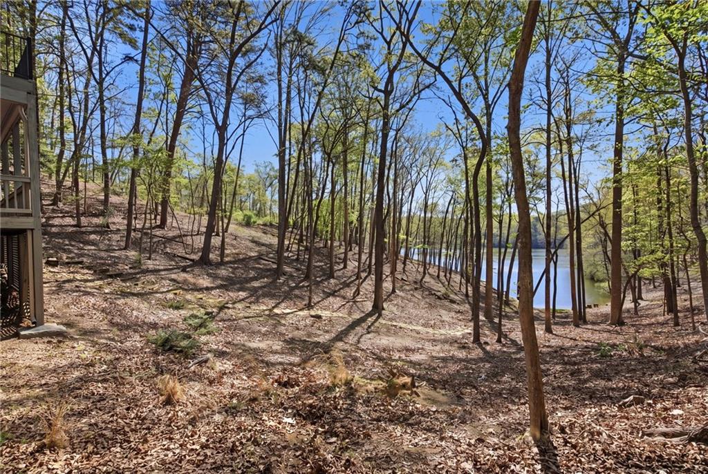 33 Kingfisher Point Big Canoe, GA 30143 - Photo 44 of 79