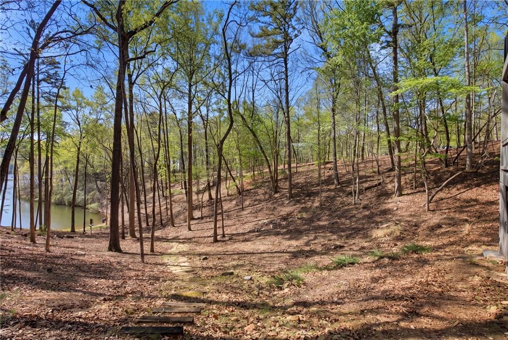 33 Kingfisher Point Big Canoe, GA 30143 - Photo 45 of 79
