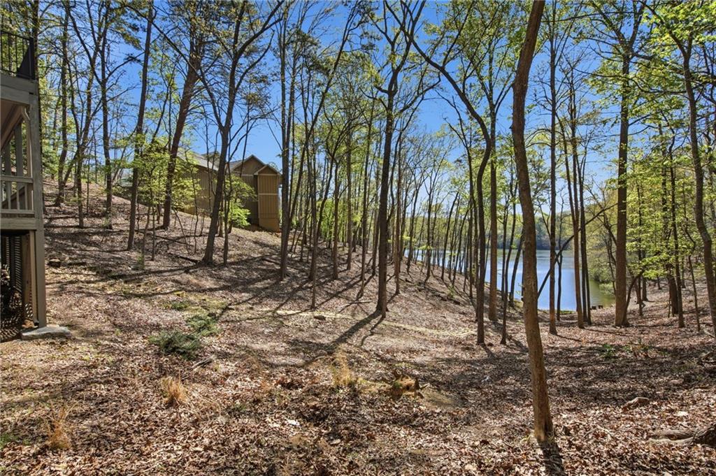 33 Kingfisher Point Big Canoe, GA 30143 - Photo 46 of 79