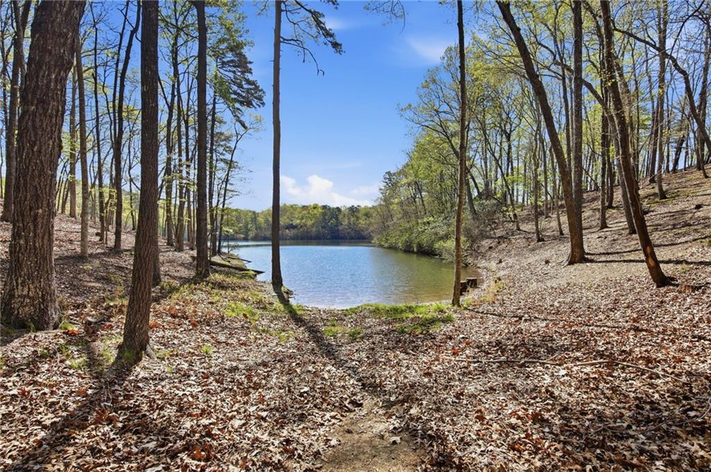 33 Kingfisher Point Big Canoe, GA 30143 - Photo 47 of 79