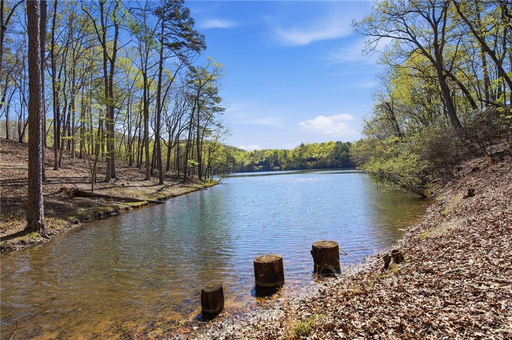 33 Kingfisher Point Big Canoe, GA 30143 - Photo 48 of 79