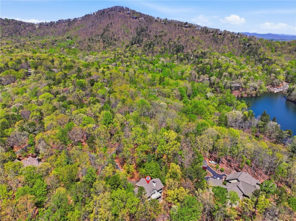 33 Kingfisher Point Big Canoe, GA 30143 - Photo 50 of 79