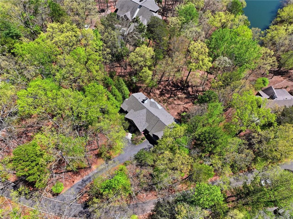 33 Kingfisher Point Big Canoe, GA 30143 - Photo 53 of 79