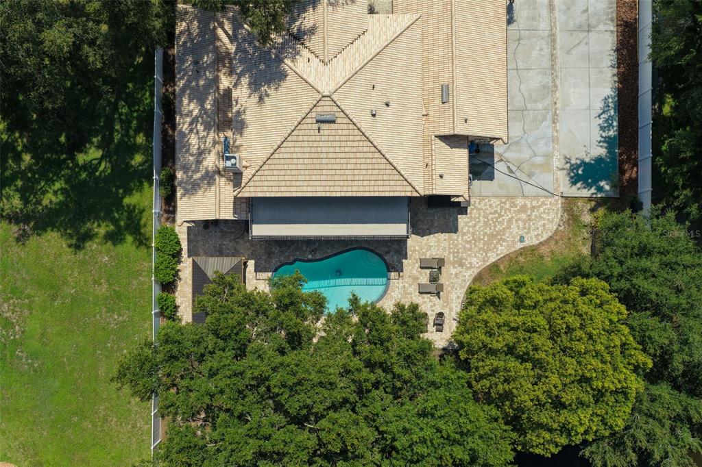 793 Duque Road Lutz, FL 33549 - Photo 42 of 43 Gallery Image 42