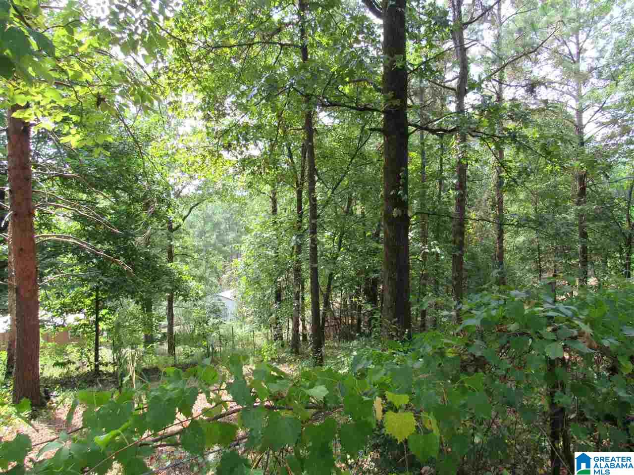 175 County Road 772 Montevallo, AL 35115 - Photo 28 of 50