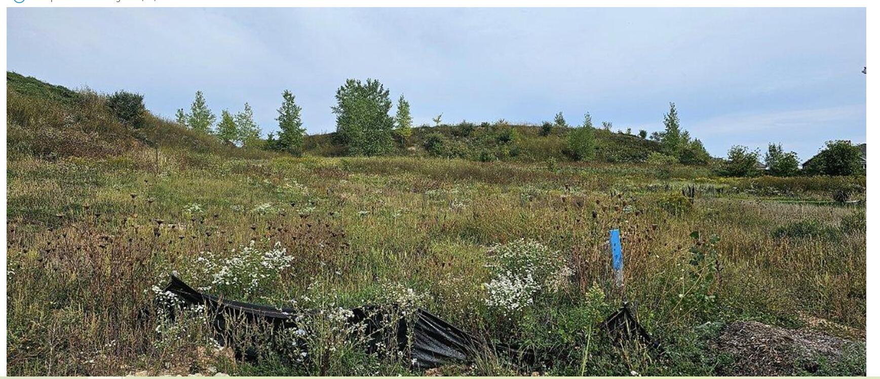 80 Glendale Road Fredonia, WI 53021 - Photo 4 of 6 Fredonia Lots