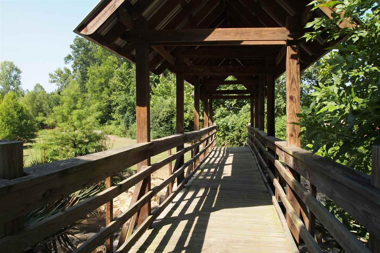 223 Terrapin Creek Road Brandon, MS 39042 - Photo 41 of 41 Photo 41