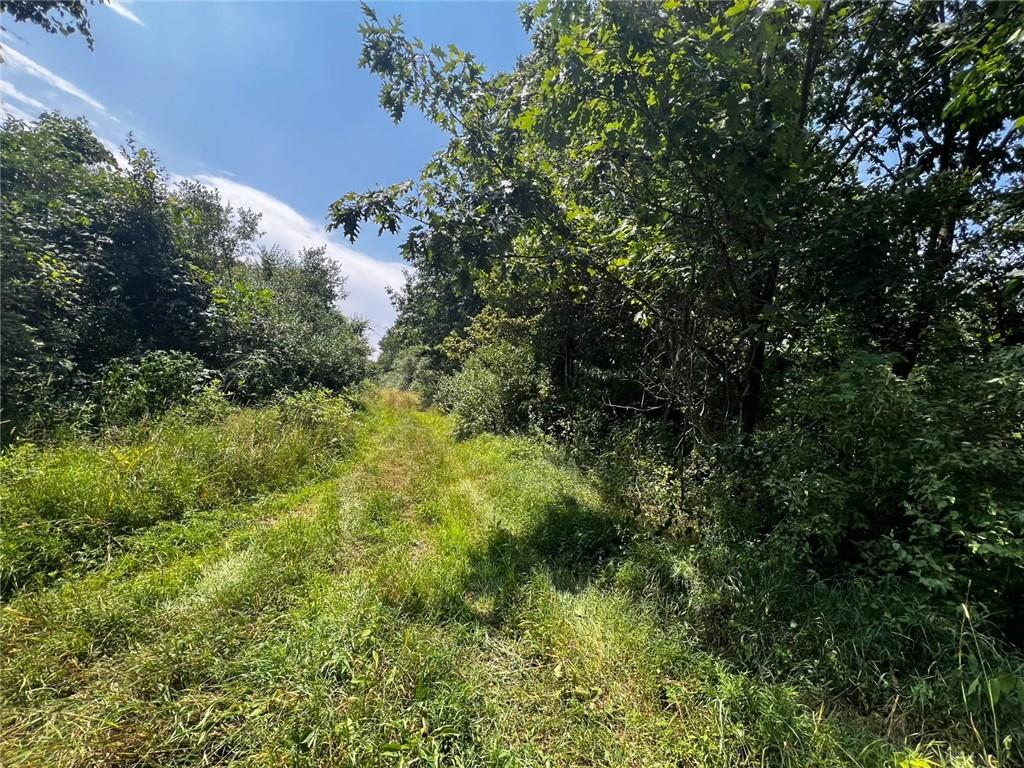 142.19 Acs Along Elkin & Beck Roads Kittanning, PA 16201 - Photo 2 of 6 a view of a forest with a tree