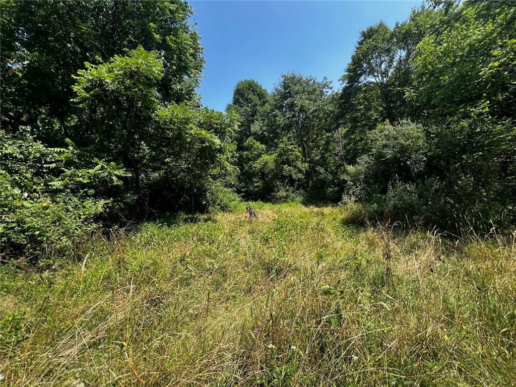 142.19 Acs Along Elkin & Beck Roads Kittanning, PA 16201 - Photo 4 of 6 a view of a garden