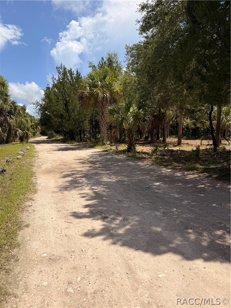 11345 North Moonlight Terrace Inglis, FL 34449 - Photo 7 of 11