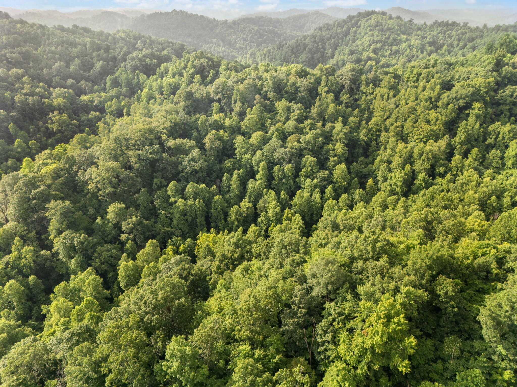 492 Sugar Camp Road Booneville, KY 41314 - Photo 42 of 44 32-web-or-mls-DJI_20250701091221_0090_D