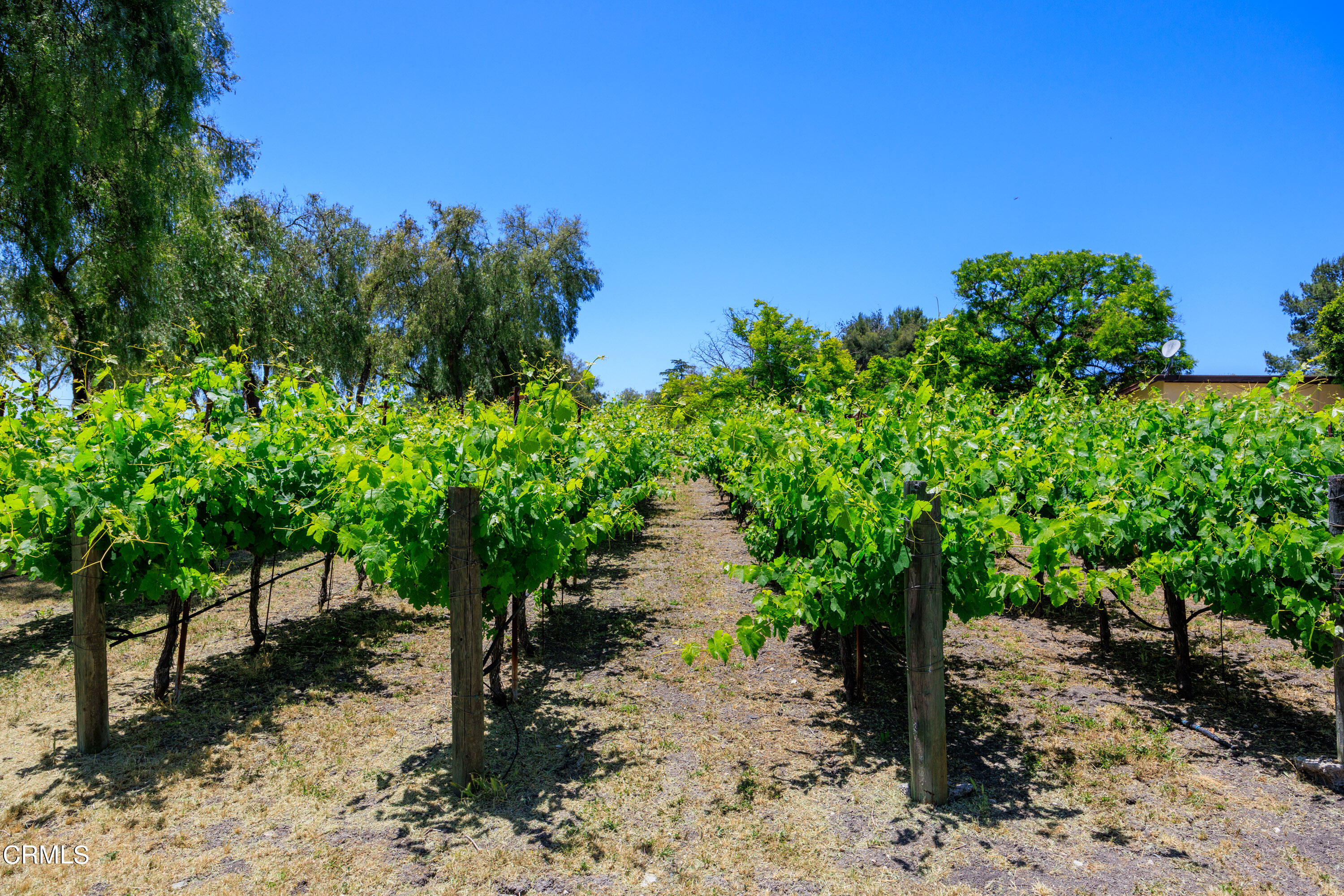 2851 Tapadero Road Solvang, CA 93463 - Photo 5 of 38 2851 Tapadero Exterior Web-24