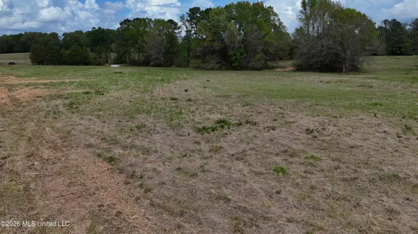 $99,535 | Sulphur Springs, Canton, MS 39046