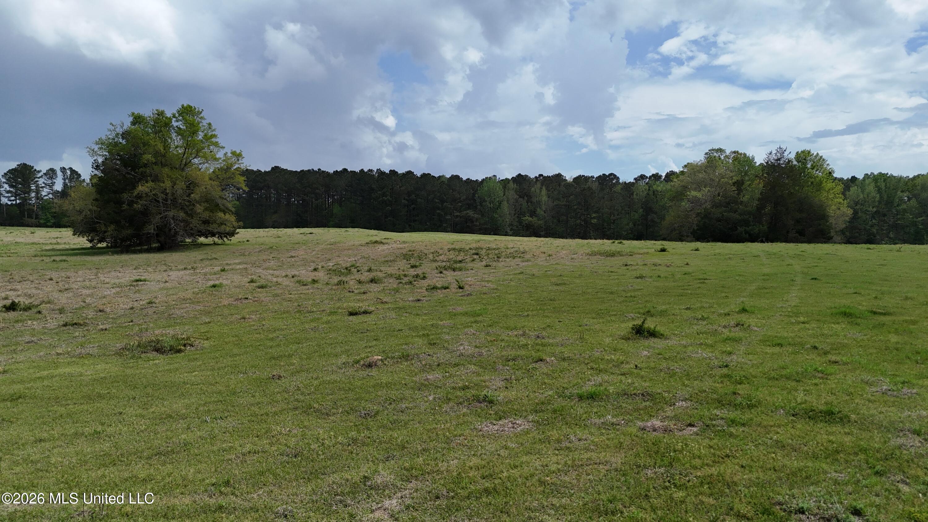 Sulphur Springs Canton, MS 39046 - Photo 3 of 12 uuid=38378E53-08A4-49D8-B8AA-8373983AB23