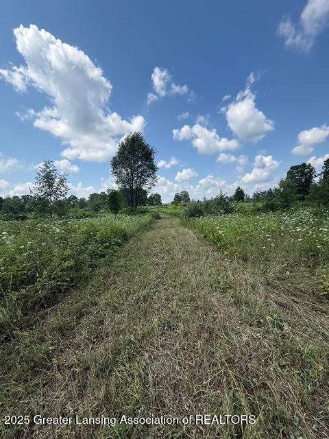 0 Hall Road Bellevue, MI 49021 - Photo 2 of 11 image0 (1)