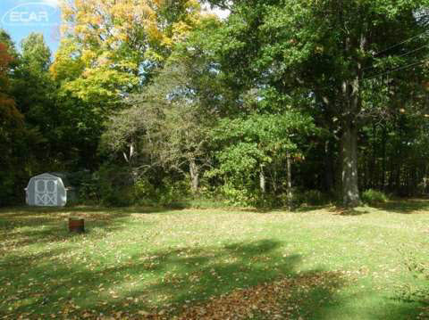 13000 West Burt Road Chesaning, MI 48616 - Photo 12 of 13 20424284-11.JPG