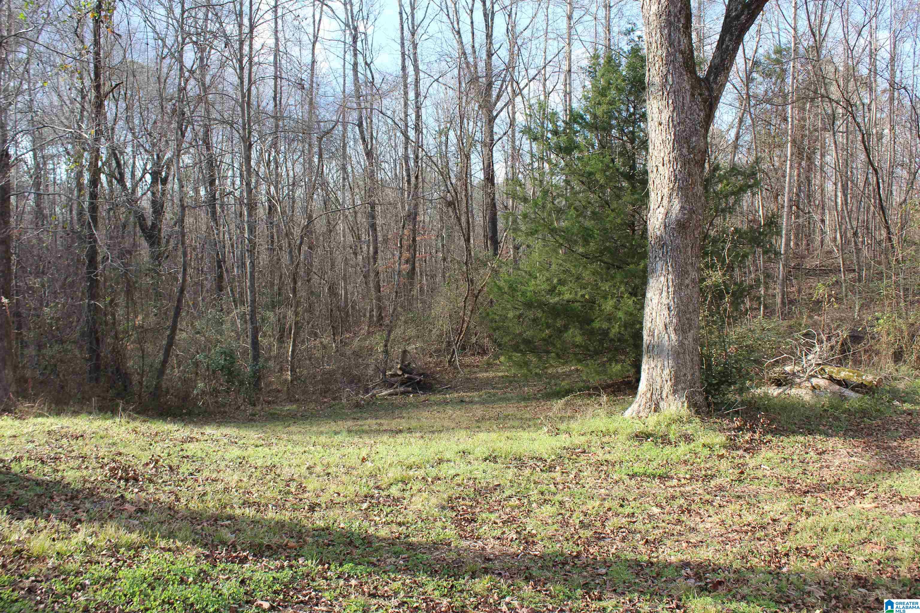 900 New County Line Road Sylacauga, AL 35151 - Photo 29 of 30