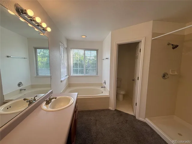 a bathroom with a sink and a shower