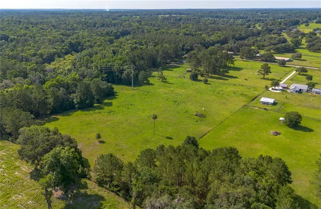 a view of a city with lush green forest