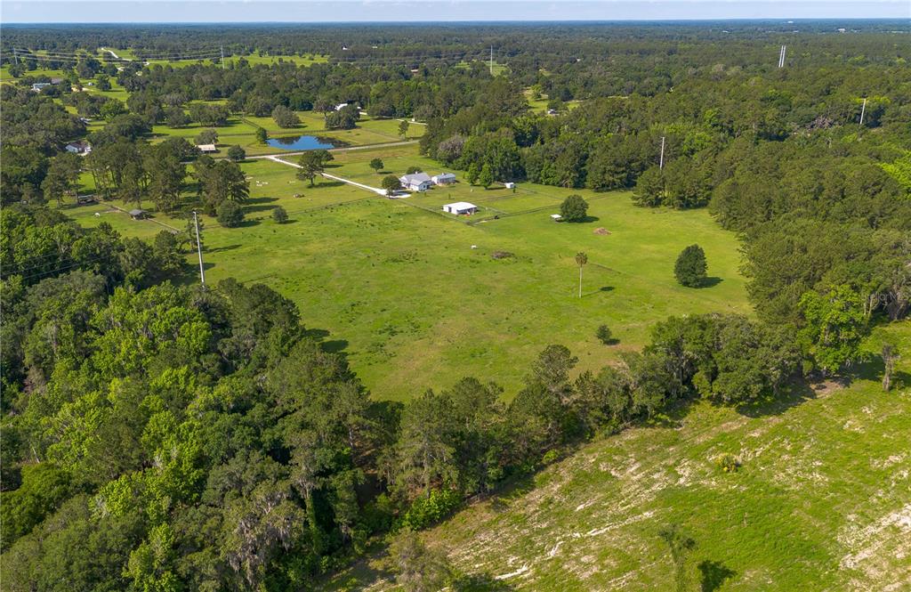 Tbd Northwest 185th Street Williston, FL 32696 - Photo 10 of 14 a view of a city with lush green forest