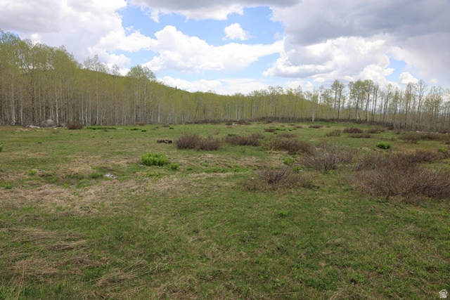 5274 North Larkspur Road, Unit 41 Park City, UT 84060 - Photo 2 of 4 View of wooded area featuring a view of rural / pastoral area