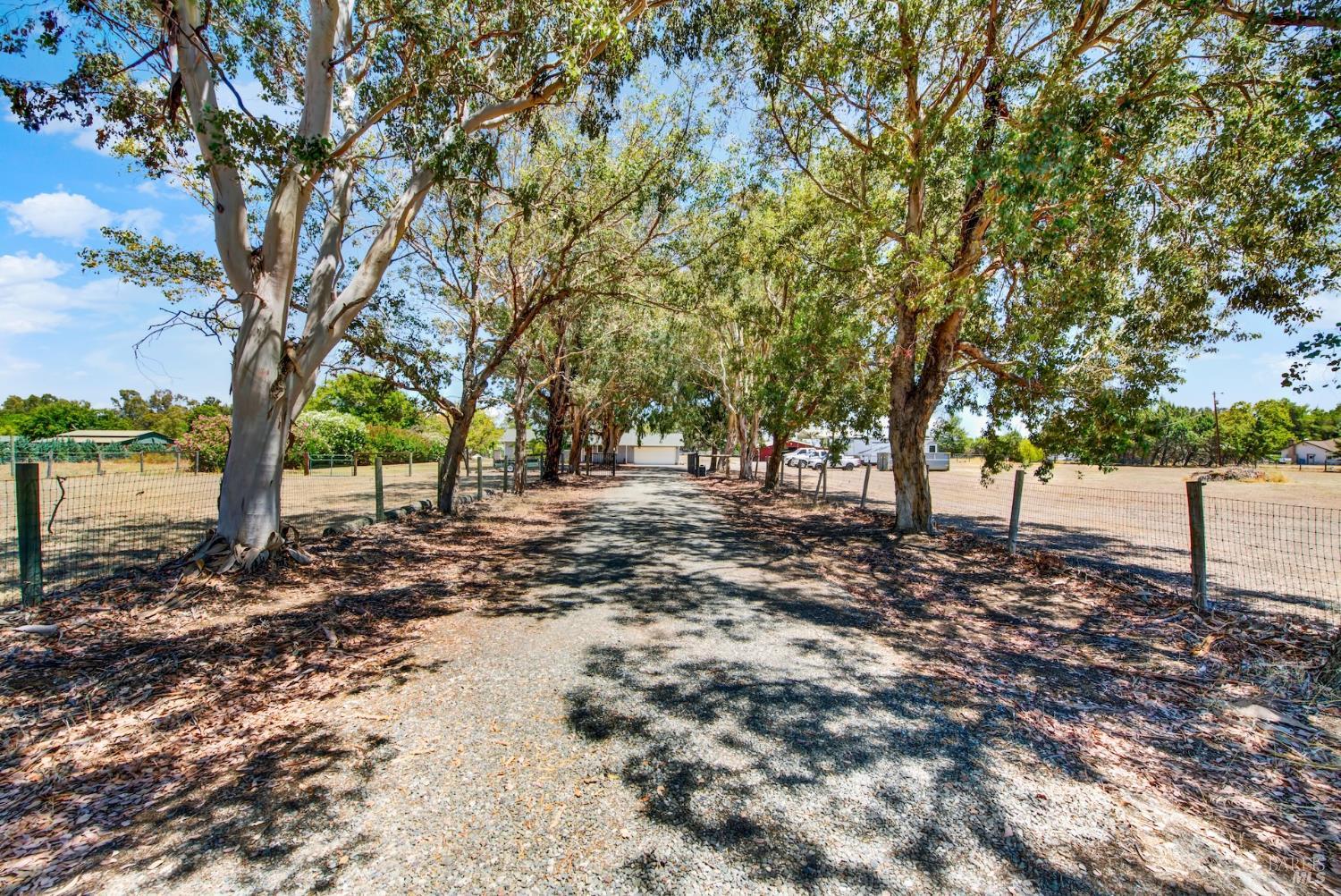 8412 Tubbs Road Winters, CA 95694 - Photo 3 of 73