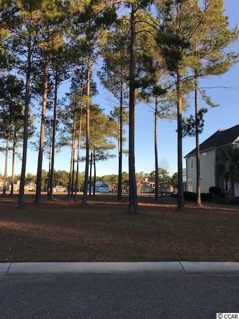 1187 Fiddlehead Way Myrtle Beach, SC 29579 - Photo 3 of 14 Gallery Image 3