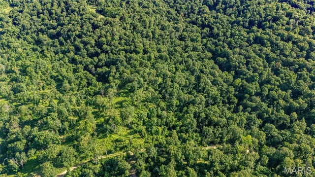 $585,000 | 0 Old 79 Highway, New London, MO 63459