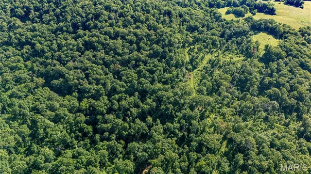 $585,000 | 0 Old 79 Highway, New London, MO 63459