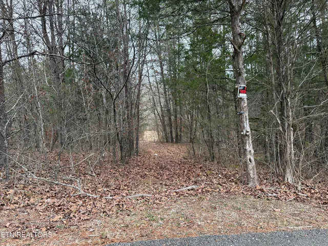 1771 Richard Lane, Knoxville, TN 37914