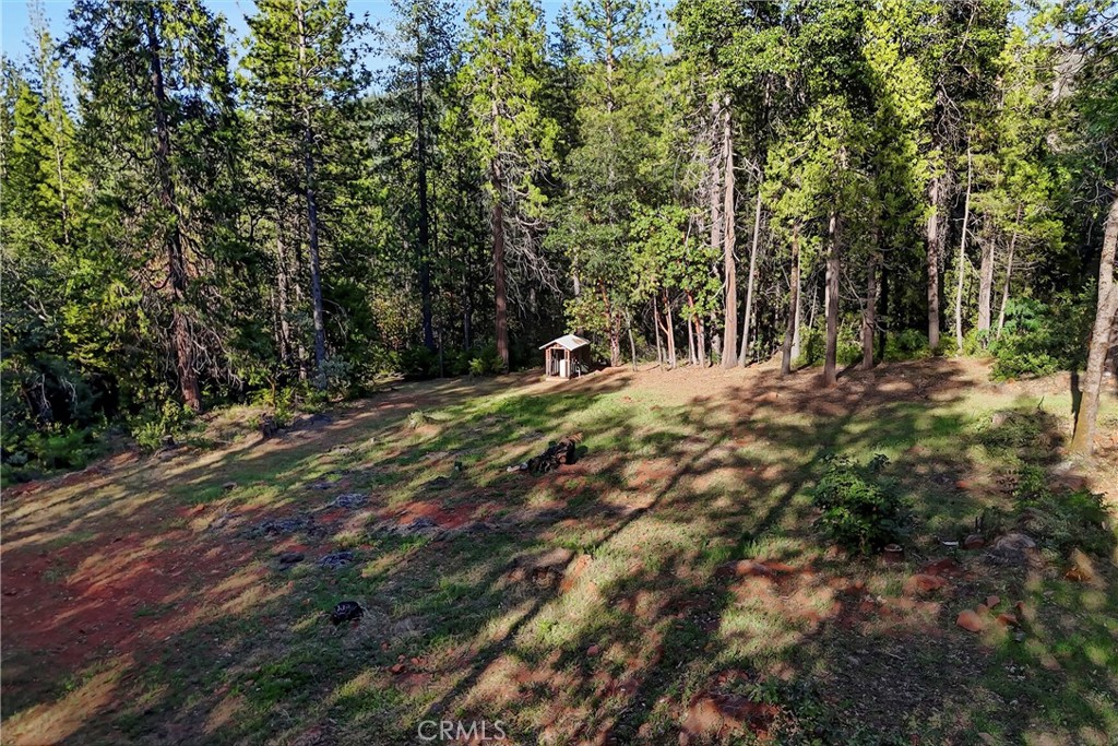 3353 Forbestown Road Oroville, CA 95966 - Photo 34 of 44
