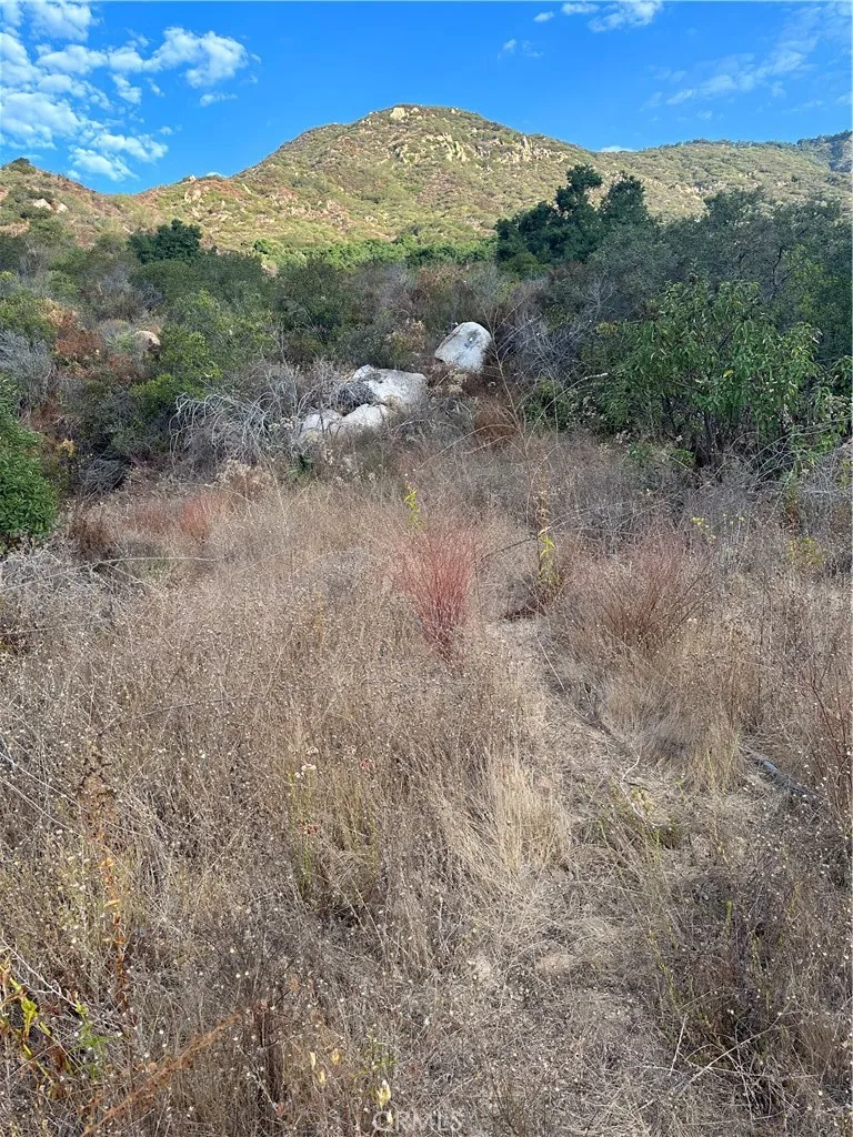 0 Vuelta Grande Road Temecula, CA 92590 - Photo 2 of 7 a view of a field with an trees