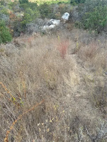 a view of an ocean and mountain
