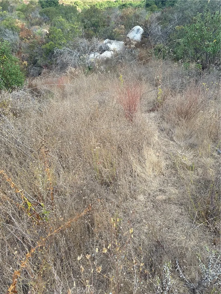 0 Vuelta Grande Road Temecula, CA 92590 - Photo 3 of 7