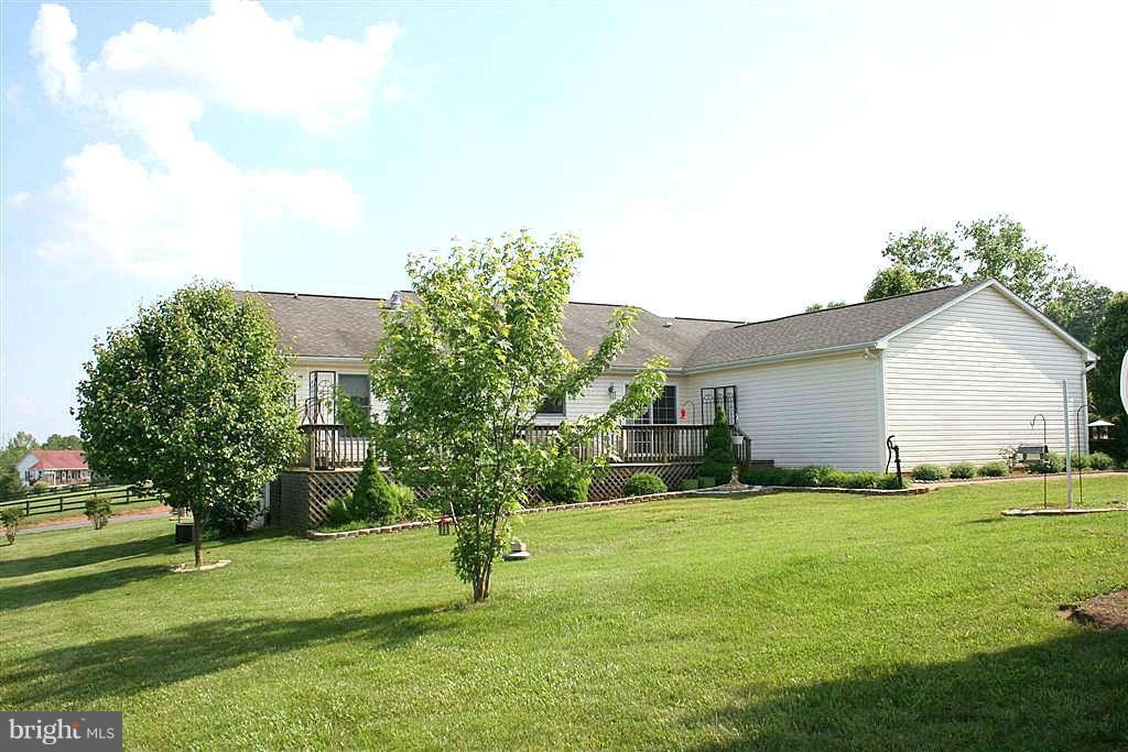 13253 Firefly Road Culpeper, VA 22701 - Photo 3 of 30 a backyard of a house with plants and large tree
