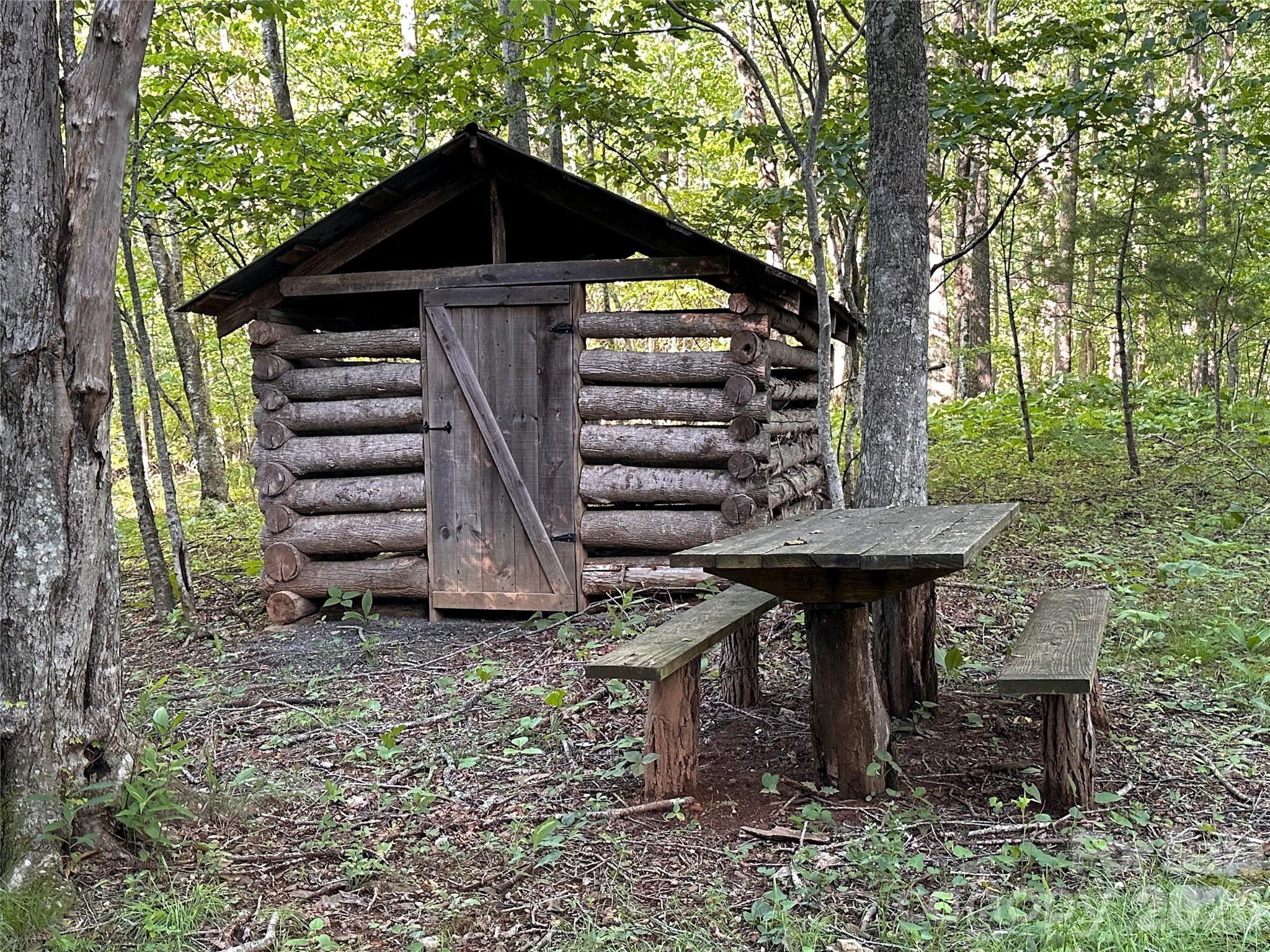 65 Blue Ridge Gem Mine Road Spruce Pine, NC 28777 - Photo 9 of 30
