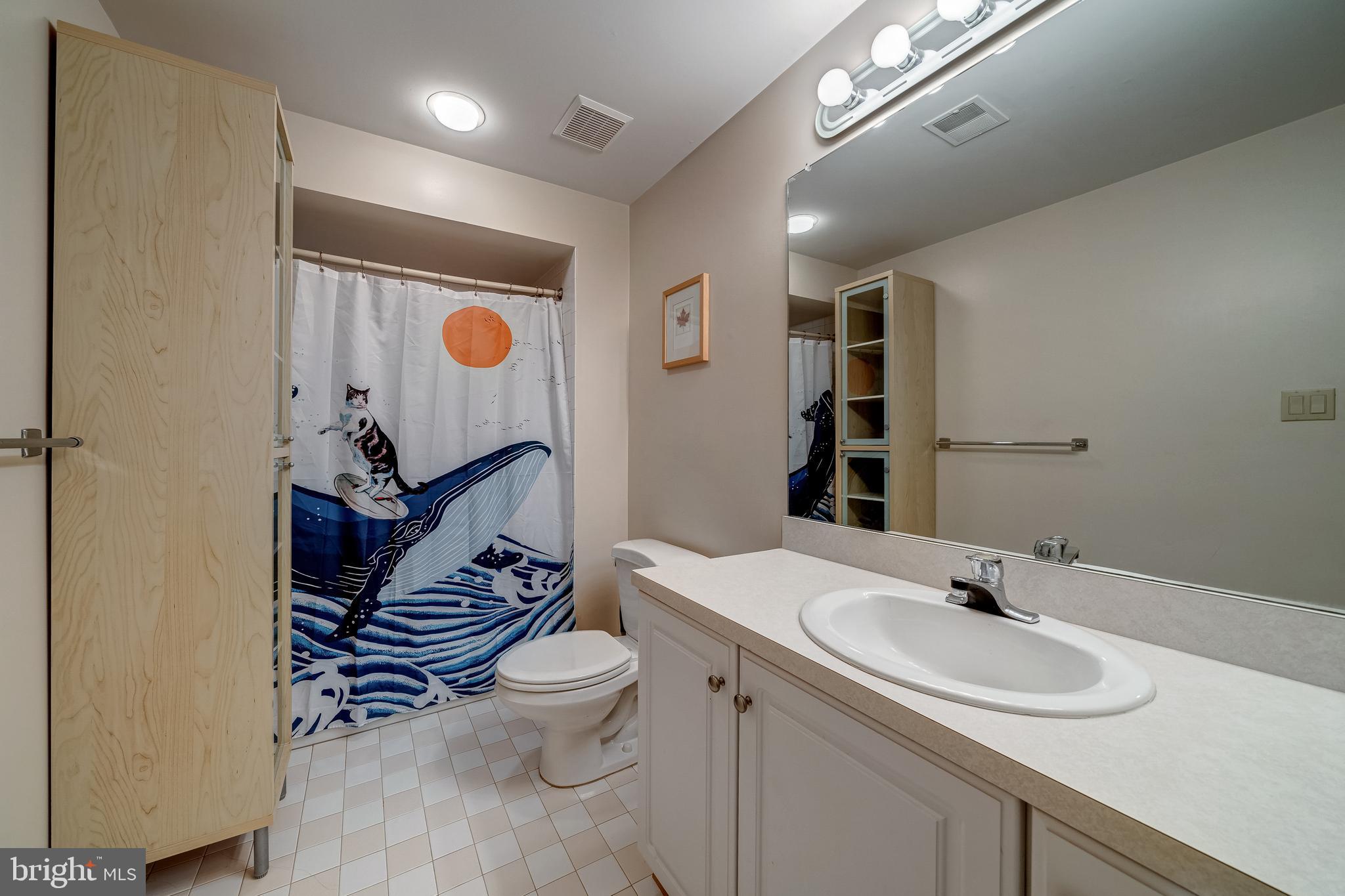 1433 Waterfront Road Reston, VA 20194 - Photo 54 of 67 Lower Level Full Bath