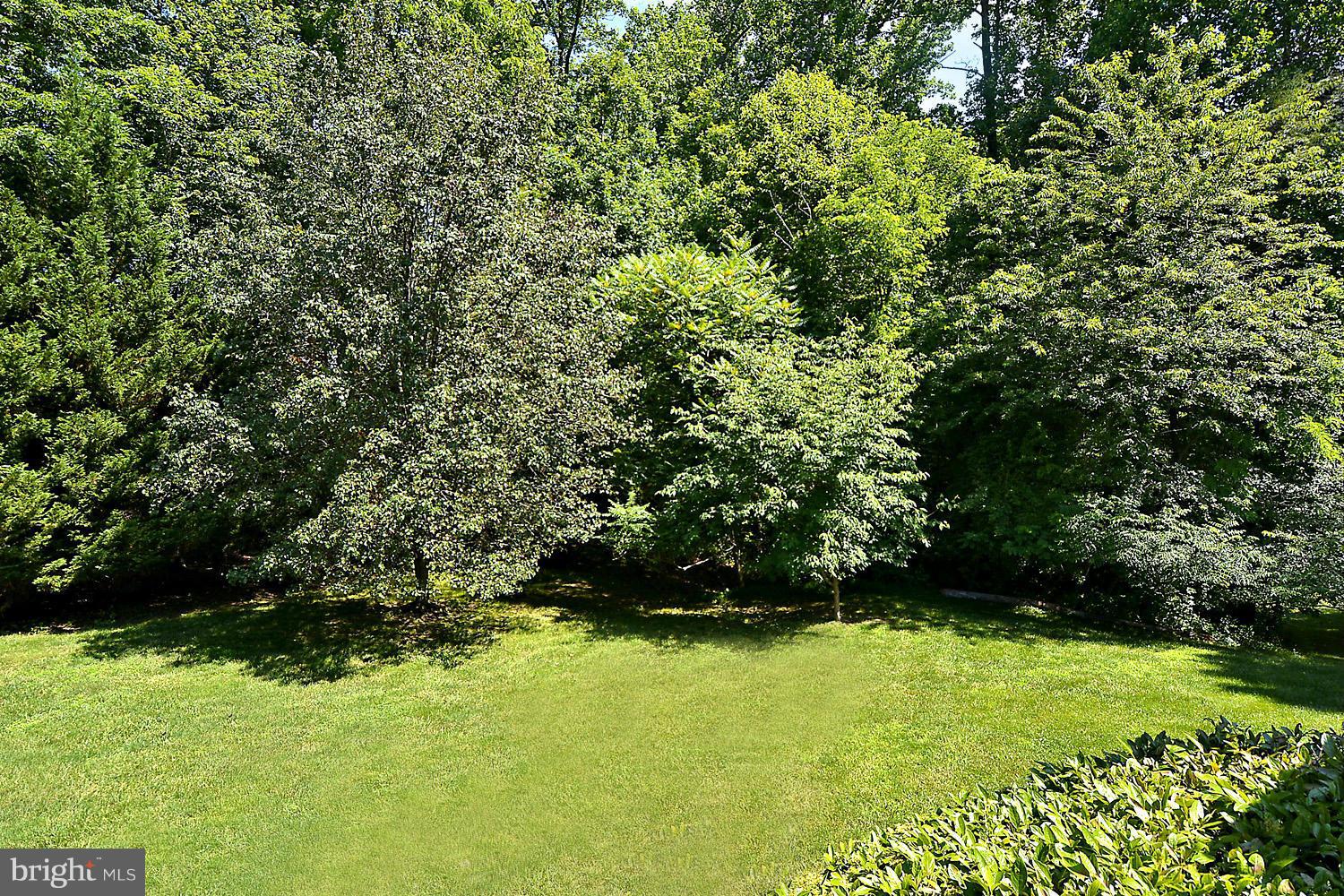 2702 Howard Grove Road Davidsonville, MD 21035 - Photo 5 of 30 Natural Privacy Fence of Mature Shade Trees